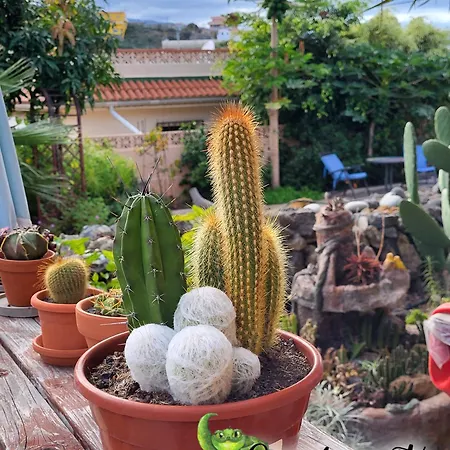 Casafavorita - Meer- Und Teideblick Fuer Zwei Appartement *