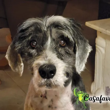 Appartement Casafavorita - Meer- Und Teideblick Fuer Zwei Buen Paso