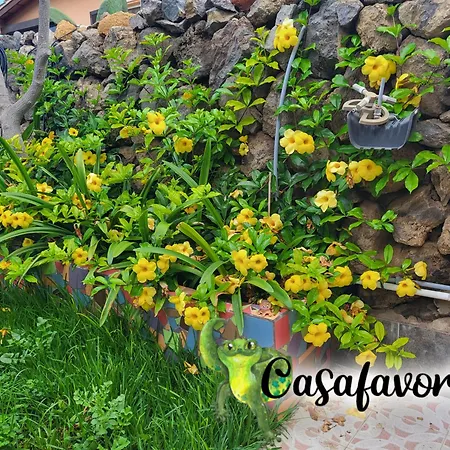 Casafavorita - Meer- Und Teideblick Für Zwei