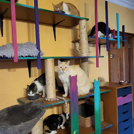 Casafavorita - Meer- Und Teideblick Für Zwei *