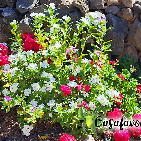 Casafavorita - Meer- Und Teideblick Für Zwei * Buen Paso