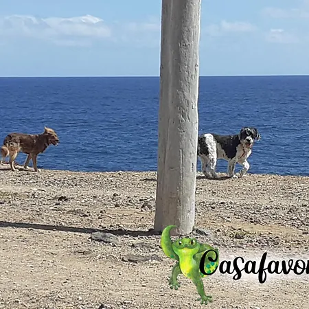 Casafavorita - Meer- Und Teideblick Für Zwei *