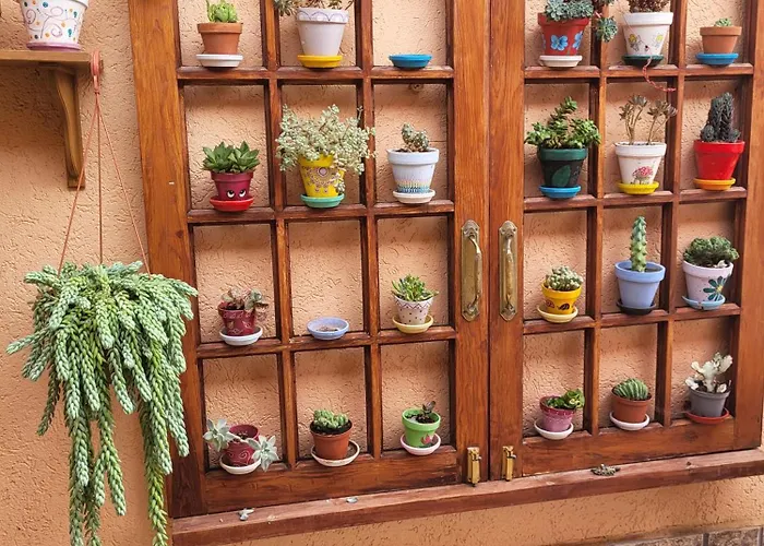 Casafavorita - Meer- Und Teideblick Fuer Zwei شقة *