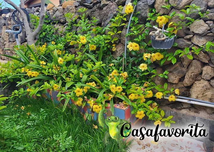 Casafavorita - Meer- Und Teideblick Fuer Zwei