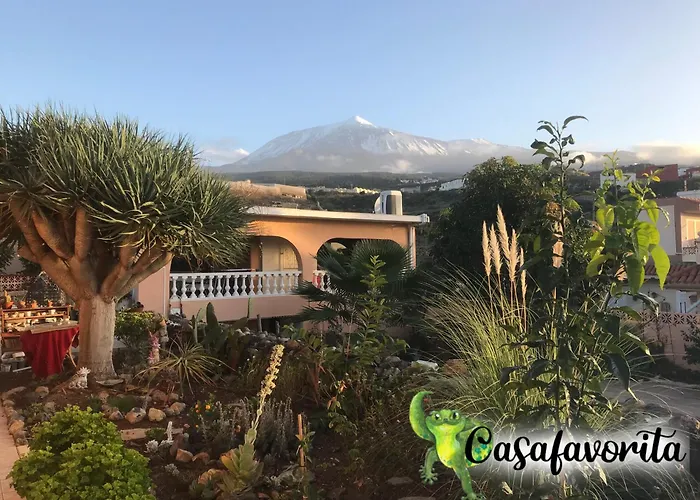 Casafavorita - Meer- Und Teideblick Fuer Zwei Buen Paso