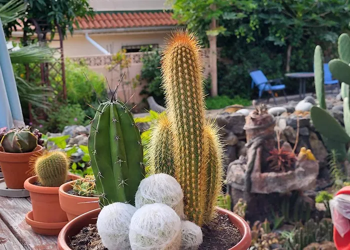 Casafavorita - Meer- Und Teideblick Fuer Zwei شقة *