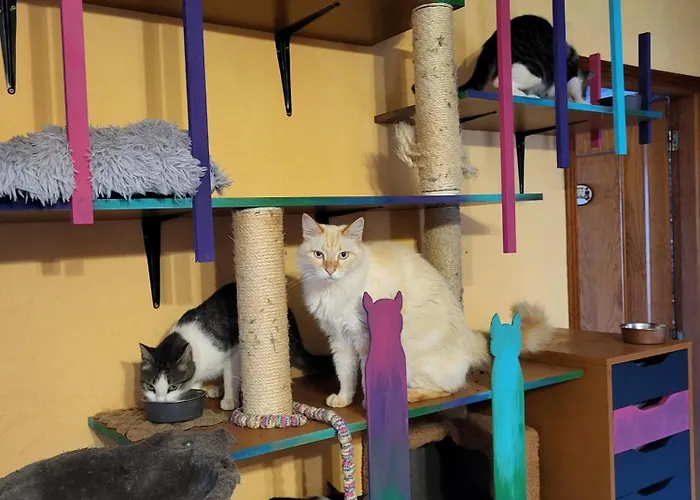 Casafavorita - Meer- Und Teideblick Fuer Zwei *