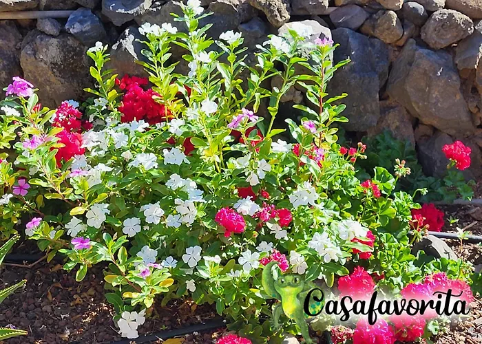 Casafavorita - Meer- Und Teideblick Fuer Zwei * Buen Paso