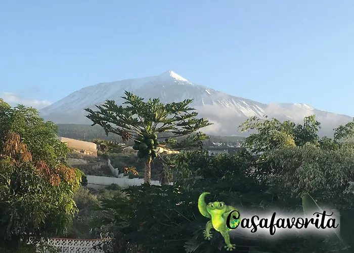 Casafavorita - Meer- Und Teideblick Fuer Zwei شقة *