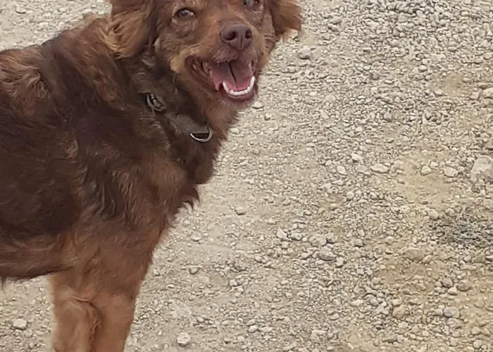 Casafavorita - Meer- Und Teideblick Fuer Zwei شقة Buen Paso