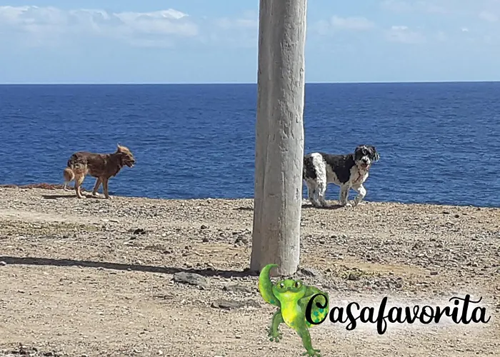 Casafavorita - Meer- Und Teideblick Fuer Zwei *