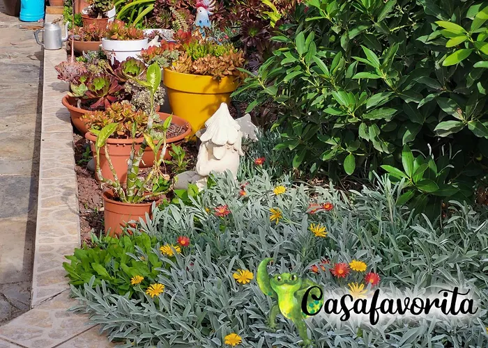 Casafavorita - Meer- Und Teideblick Fuer Zwei Appartamento